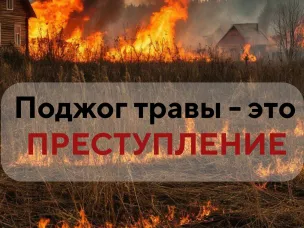 23 марта в Туртапке неизвестные подожгли сухую траву
